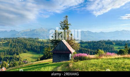 Summer evening mountain village outskirts with pink flowers and wooden shed in front and Tatra range behind (Gliczarow Gorny, Poland). Stock Photo