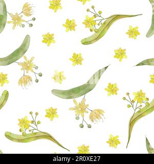 Yellow blooming linden flowers and buds watercolor illustration. Tilia flowers, lime flowers, basswood flowers. Seamless pattern/ Herbal tea set. Stock Photo