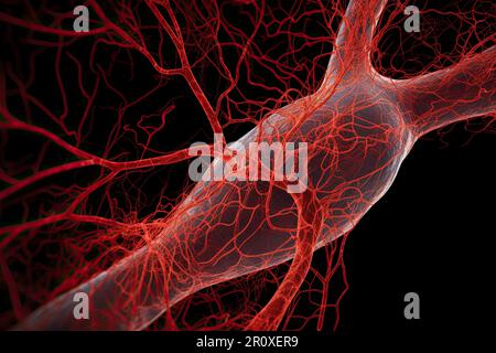 3D microscopic close-up of a capillary isolated on black background. A capillary is a tiny, thin-walled blood vessel that connects arteries and veins Stock Photo