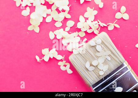 white hydrangea flowers and paint brush on a pink background with copy space. Flat lay. Summer concept Stock Photo