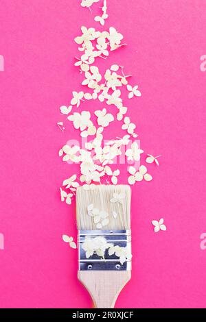 white hydrangea flowers and paint brush on a pink background with copy space. Flat lay. Summer concept Stock Photo