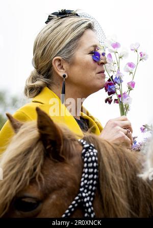 SCHIERMONNIKOG - Queen Maxima is welcomed at Partnership Van der Bijl - Holwerda. The royal couple will pay a two-day regional visit to the Wadden Islands. ANP KOEN VAN WEEL netherlands out - belgium out Stock Photo