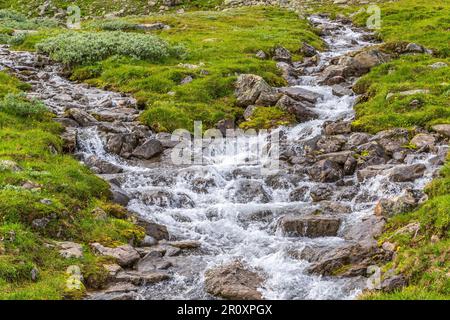 Mountain river in the high country landscape Stock Photo