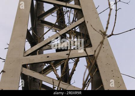 A close-up image of several thin, metal branches forming a complex, geometric shape against a blurred black background Stock Photo