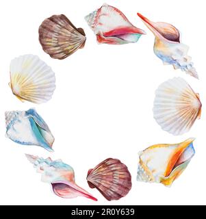 Round frame of sea shells. Hand drawn watercolor painting on brown ...