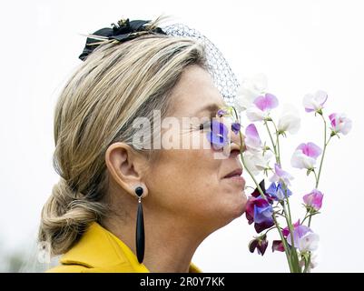 SCHIERMONNIKOG - Queen Maxima is welcomed at Partnership Van der Bijl - Holwerda. The royal couple will pay a two-day regional visit to the Wadden Islands. ANP KOEN VAN WEEL netherlands out - belgium out Stock Photo