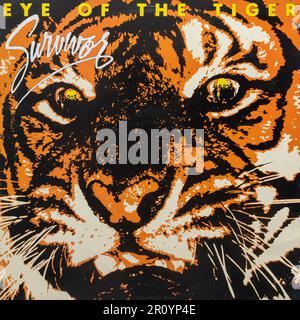 Eye of the Tiger album by Survivor Stock Photo - Alamy