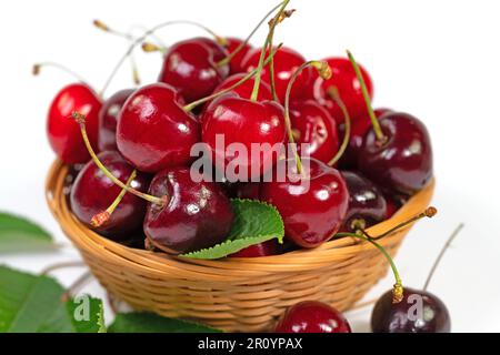 Sweet cherries,  Prunus avium, against white background Stock Photo