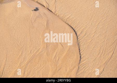 Wrinkles in the sand on a sunny day Stock Photo