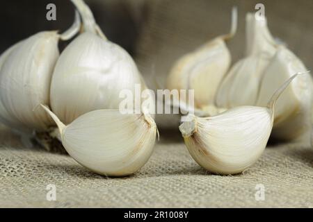 Fresh garlic close-up, garlic cloves on a wooden background. Space for text Stock Photo