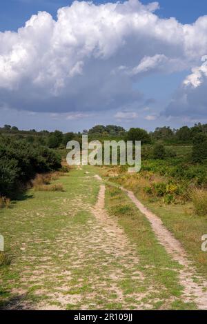 Walking on a path in Ashdown forest on a cloudy summer afternoon, East Sussex, South East England Stock Photo