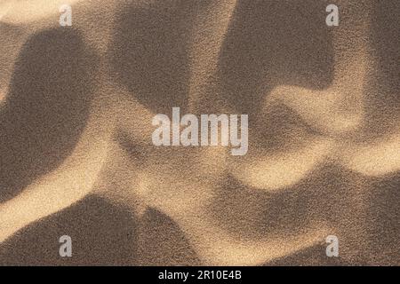 Close-up detail view of sand on sand dunes at the beach Stock Photo