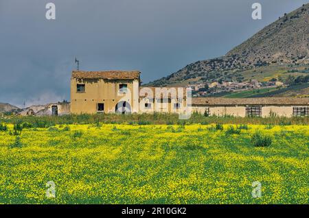 old abandoned house in spring farm land of Sicily, Italy Stock Photo