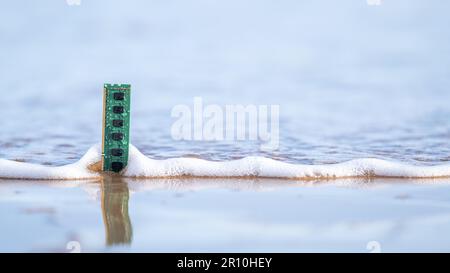 Computer memory card on the shore Stock Photo