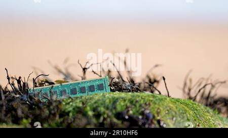 Computer memory card on the shore Stock Photo