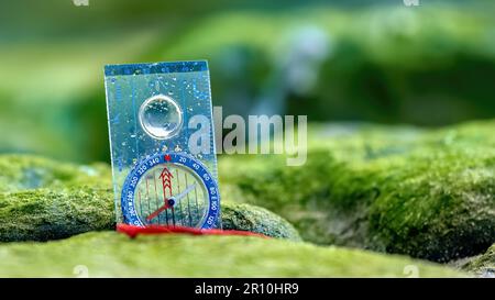 Orienteering compass on seaweed covered rock Stock Photo