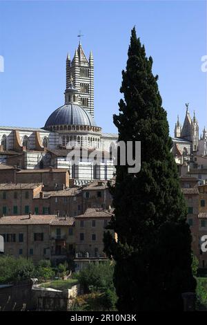 Siena, Italia, Italy, Italien; general view of the old town and cathedral; Gesamtansicht der Altstadt und der Kathedrale; Duomo di Siena; Dom Stock Photo