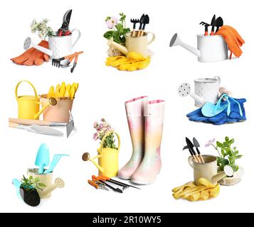 Set with watering cans and different gardening tools on white background Stock Photo