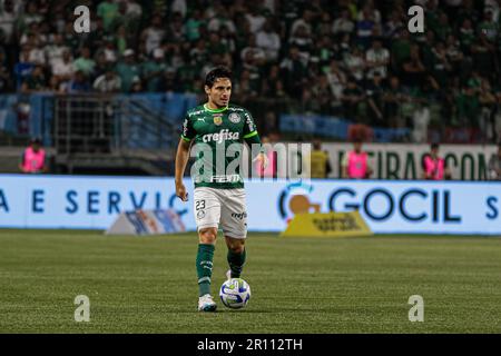 Assistir Palmeiras x Boca Juniors ao vivo 05/10/2023 Grátis