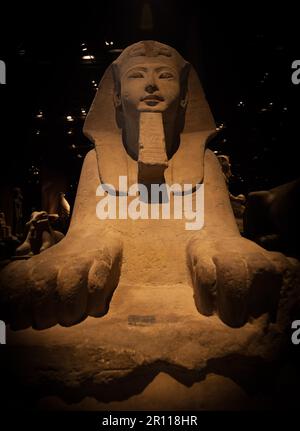 Detail of an Egyptian Sphinx - Ramesside Period Stock Photo
