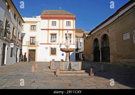 Fountain, Plaza del Potro, Square, Museum of Fine Arts, Cordoba, Cordoba Province, Andalusia, Spain Stock Photo