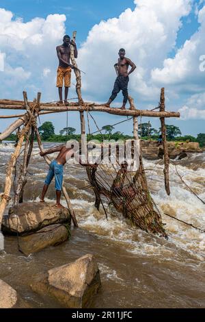 Indigenous fishermen from the Wagenya tribe, Congo river, Kisangani, DR Congo Stock Photo