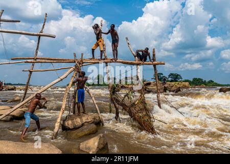 Indigenous fishermen from the Wagenya tribe, Congo river, Kisangani, DR Congo Stock Photo