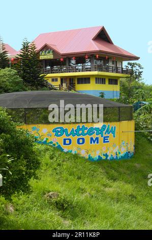 Chocolate Hills viewing platform, butterfly garden, Sagbayan Peak, Bohol, Visayas, Philippines Stock Photo