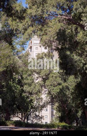 a modern apartment tower building is nearly hidden behind large mature tamarix trees in a park setting in Beer Sheva in Israel Stock Photo