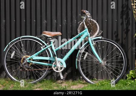 Blue bicycle beside corrugated iron fence, Chatto Creek, Central Otago, South Island, New Zealand Stock Photo