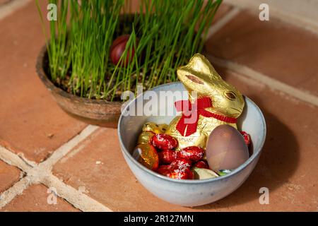 Tomar, Portugal. 09th Apr, 2023. An Easter bunny and chocolate eggs, along with brightly colored chicken eggs, lie in a bowl next to a bowl of Easter grass on Easter Sunday. Credit: Viola Lopes/dpa/Ģ����ý Live News Stock Photo