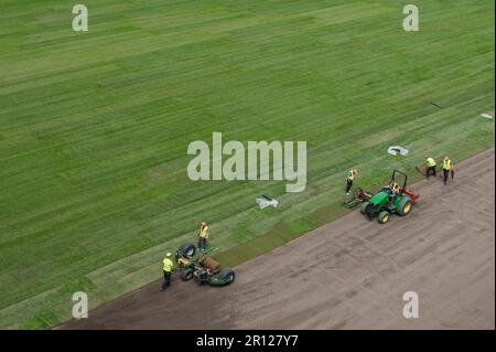 Workers laying grass in a roll on a football field at the stadium. Stock Photo