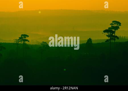 Landscape mountain tree silhouette On the orange sun light background Stock Photo