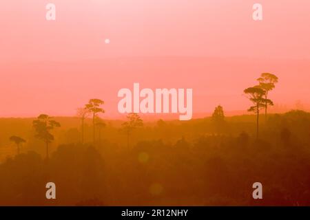Landscape mountain tree silhouette On the orange sun light background Stock Photo