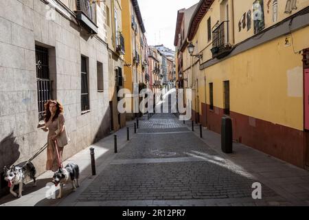 A woman walks two dogs in a narrow Madrid street. Stock Photo