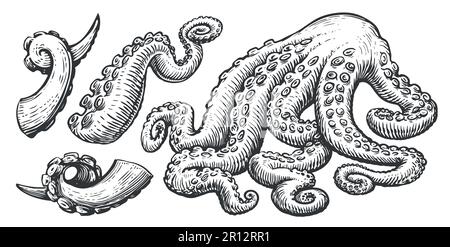 Tentacles with suckers of octopus, squid. Seafood set concept. Hand drawn sketch vintage vector illustration Stock Vector