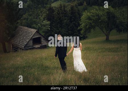 A young newlywed couple walking in a grassy field. Stock Photo