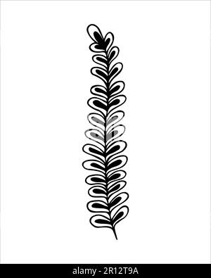 Hand drawn twig in doodling style. Botanical decorative element  in outline style.Black line on white isolated background. Stock Vector