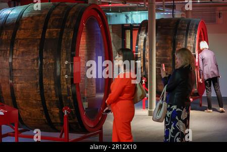 Saxony-Anhalt, Freyburg (Unstrut): 11 May 2023,  Visitors walk between display cases made from old barrels in the 'Rotkäppchen Erlebniswelt'. Sparkling wine producer Rotkäppchen-Mumm has opened a large interactive exhibition at its production site in Freyburg/Unstrut. Starting May 13, visitors can view exhibits from the brand's history and learn about sparkling wine production in the 1400-square-meter space. The exhibition is located on two floors in the cellar facilities of the historic sparkling wine cellar. In addition, a new building has been constructed to house the reception, a bar and a Stock Photo