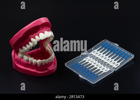 Human jaw layout and interdental toothpick brushes Stock Photo - Alamy