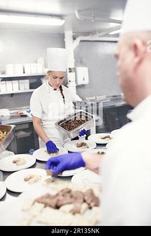 Putting all the elements together. chefs preparing a meal service in a professional kitchen. Stock Photo