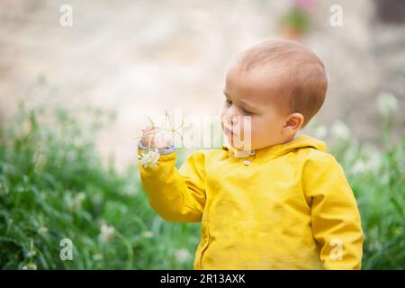 A young child with a yellow jacket stands in the middle of a green meadow, carefully observing a delicate white flower held in their tiny hands. Stock Photo