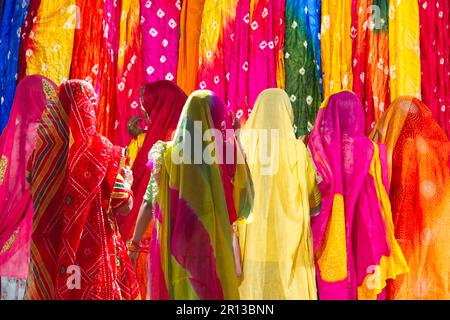Rear view of women wearing saris, looking at the textiles in various colors in a shop Stock Photo