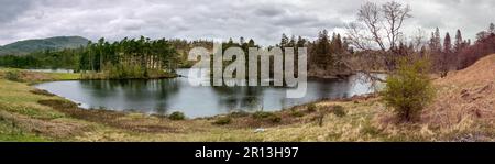Panoramic view of Tarn Hows lake in the Lake District, Cumbria, England Stock Photo