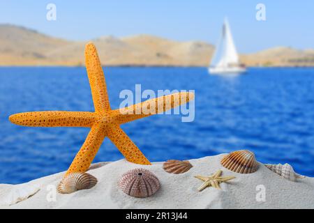 orange starfish with ocean, on white sand beach, sky and seascape, shallow dof Stock Photo