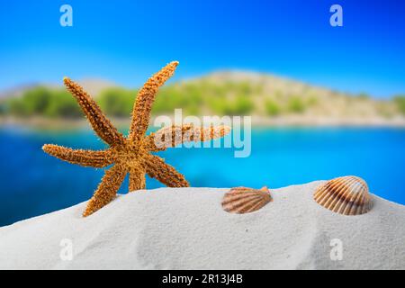 orange starfish with ocean, on white sand beach, sky and seascape, shallow dof Stock Photo