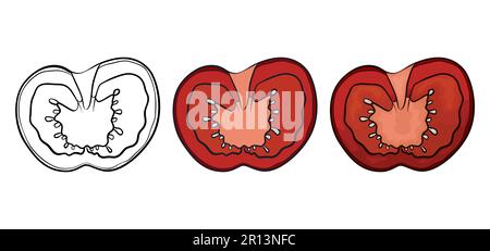 Three variations of a sliced tomato: one in outlines for coloring, other in flat colors and the last one in cartoon style. Stock Vector