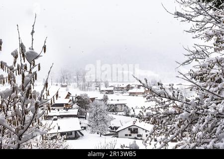 View through snow-covered branches to a snowy village in the mountains on a cloudy winter day Stock Photo