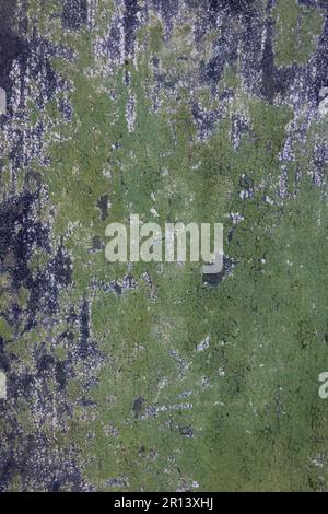 Old moss covered concrete faced wall for use as a background texture Stock Photo