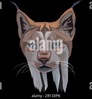 Digital artwork of a wild Canadian Lynx hand drawn art of big cat. Black background with animal. Stock Photo